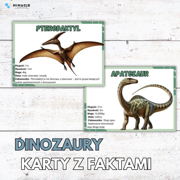 zdjęcia produktów - zima (77).png