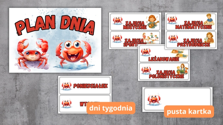 Projekt bez nazwy (3).png