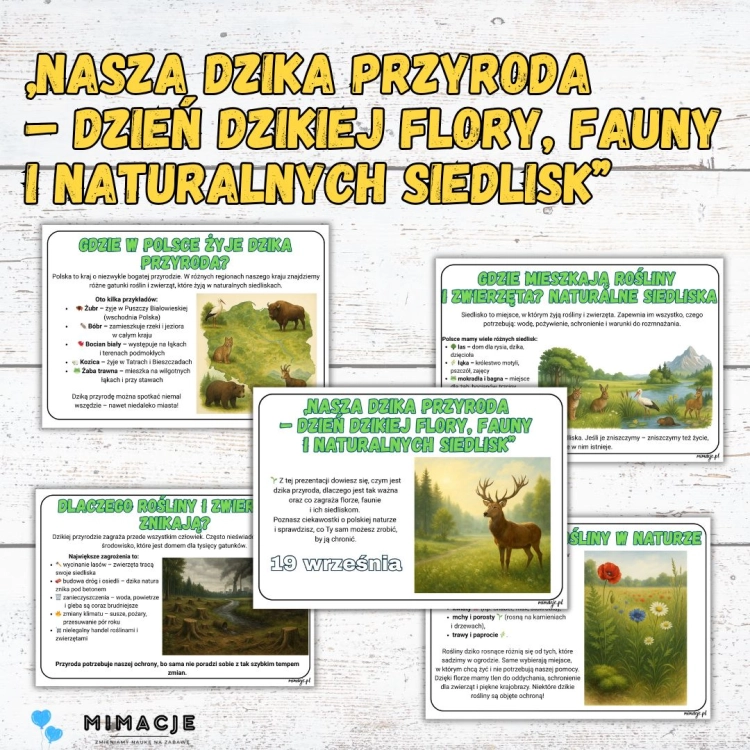 Kopia – MOŻLIWOŚĆ EDYCJI W WORD.jpg