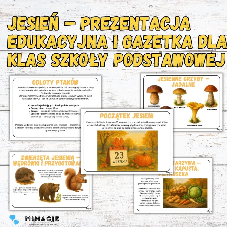 Kopia – MOŻLIWOŚĆ EDYCJI W WORD-2.jpg