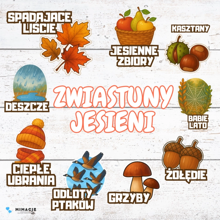 zdjęcia produktów - zima.png