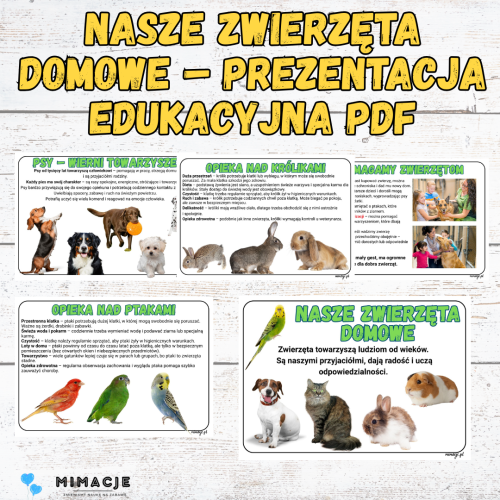 OKLADKI DO PRODUKTOW.png