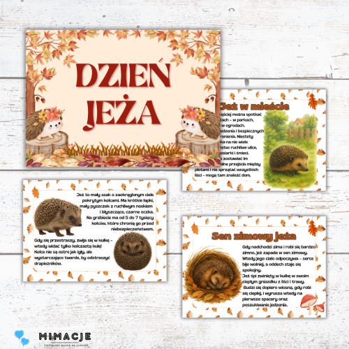 OKLADKI DO PRODUKTOW (19).png