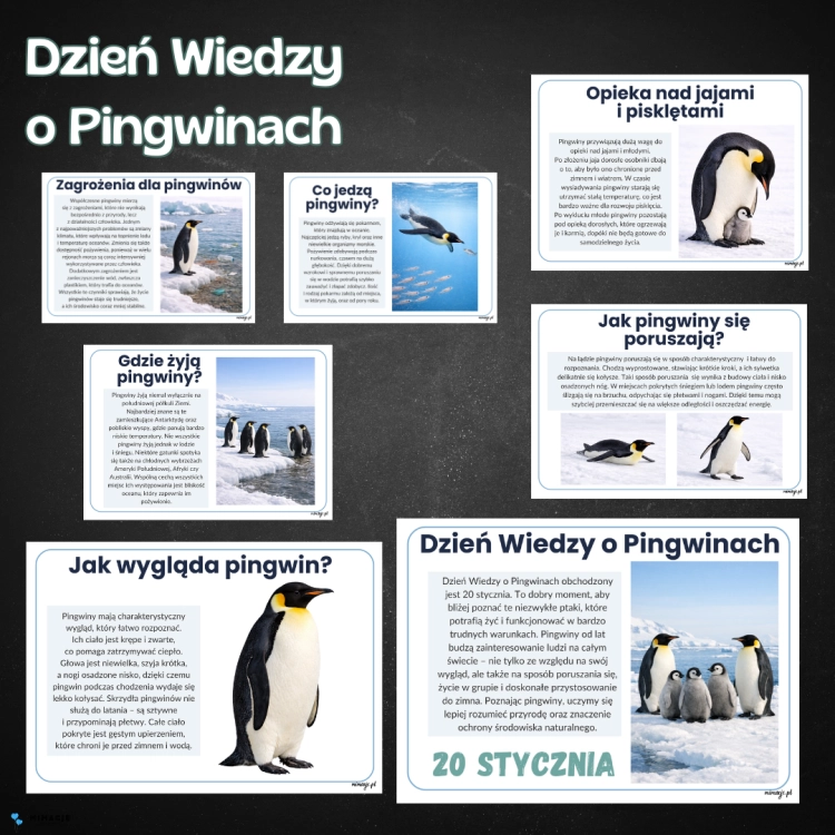 OKLADKI DO PRODUKTOW.png