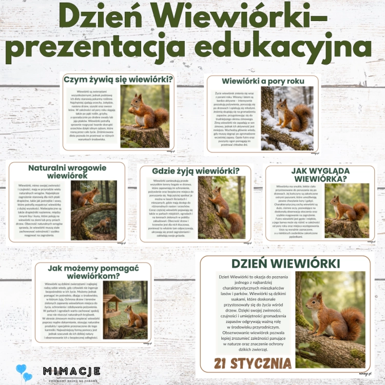 OKLADKI DO PRODUKTOW.png