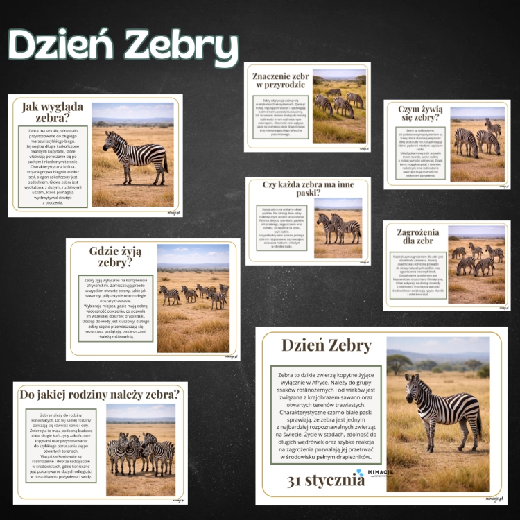 OKLADKI DO PRODUKTOW-4.png