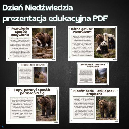 OKLADKI DO PRODUKTOW.png