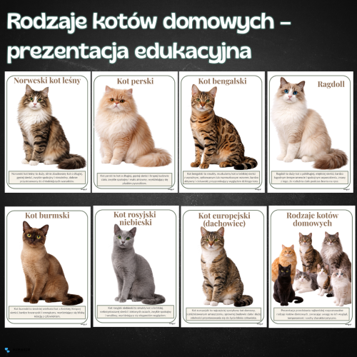 OKLADKI DO PRODUKTOW-4.png