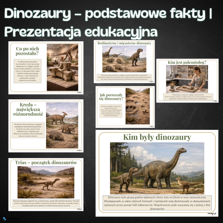 OKLADKI DO PRODUKTOW-2.png