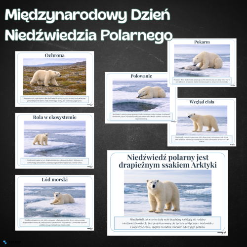 OKLADKI DO PRODUKTOW-4.png