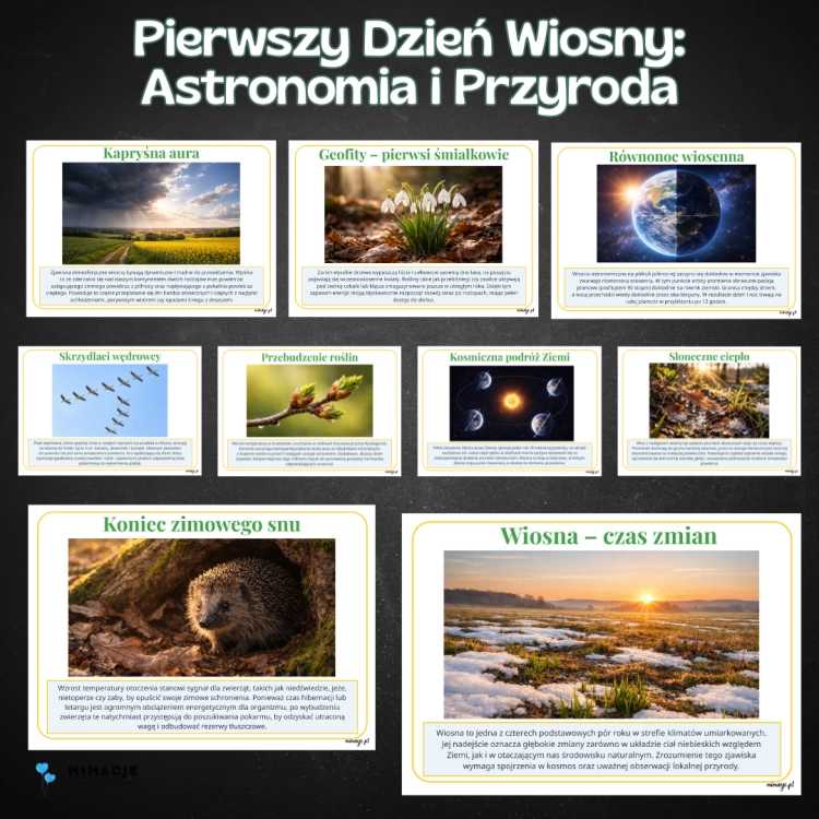 OKLADKI DO PRODUKTOW-6.png