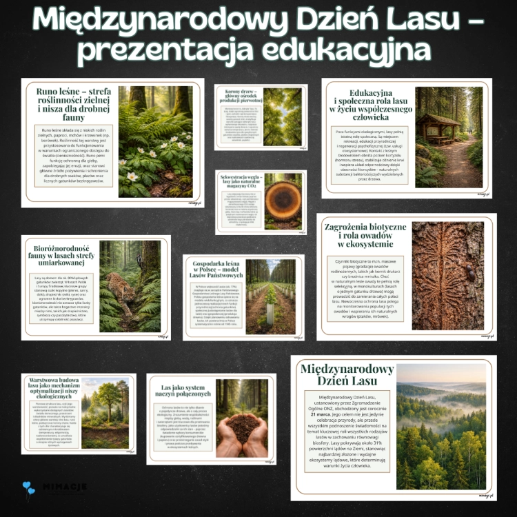 OKLADKI DO PRODUKTOW-7.png