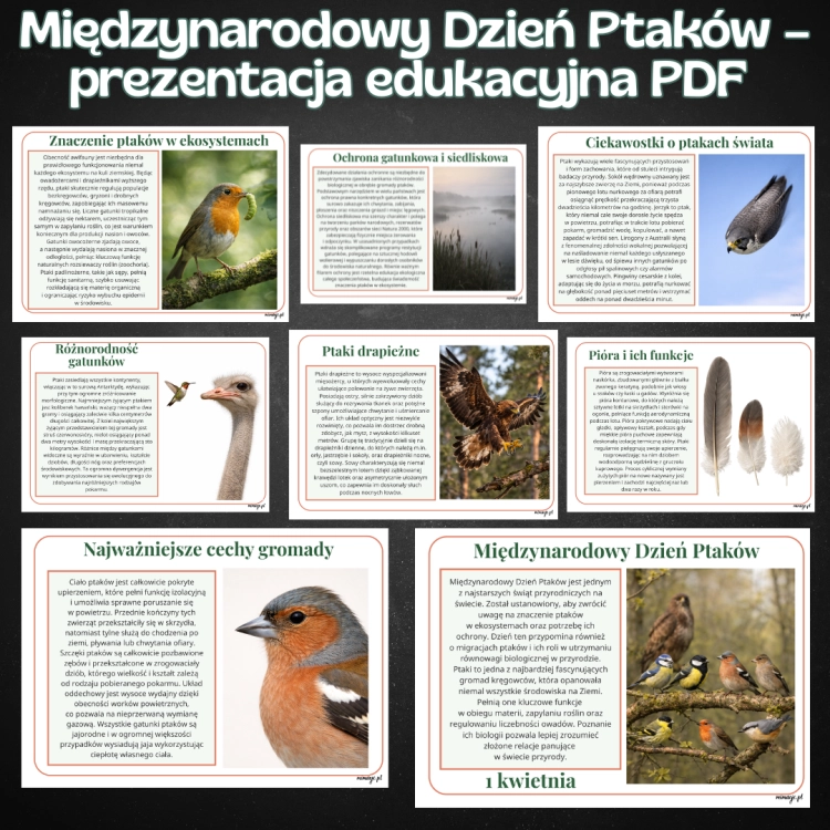 OKLADKI DO PRODUKTOW-8.png