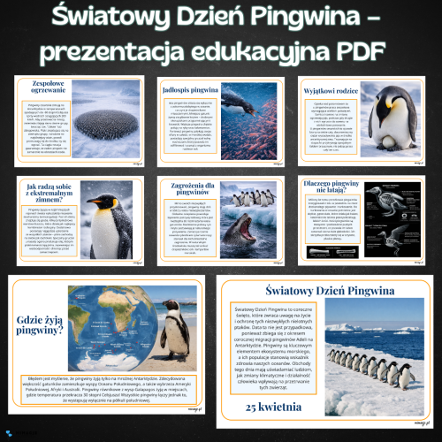 OKLADKI DO PRODUKTOW.png