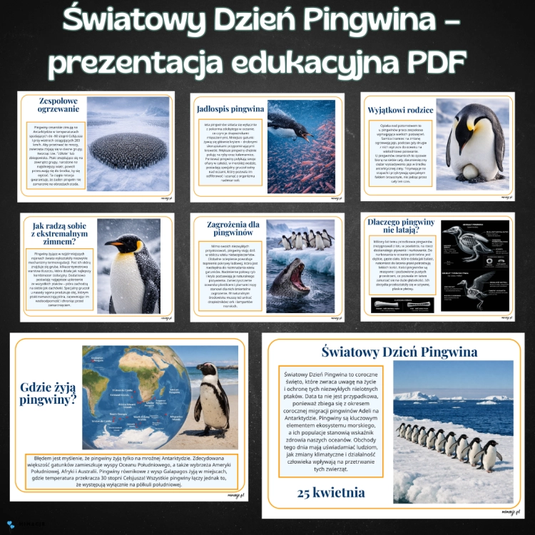 OKLADKI DO PRODUKTOW.png