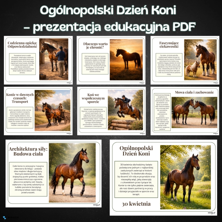 OKLADKI DO PRODUKTOW-4.png