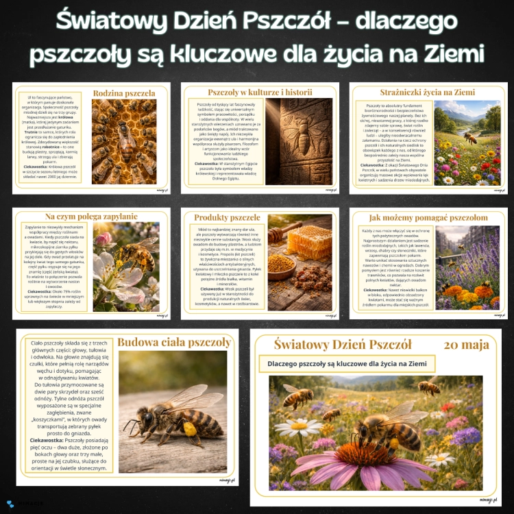 OKLADKI DO PRODUKTOW-9.png