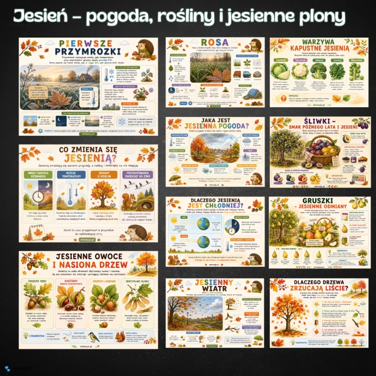 OKLADKI DO PRODUKTOW.png