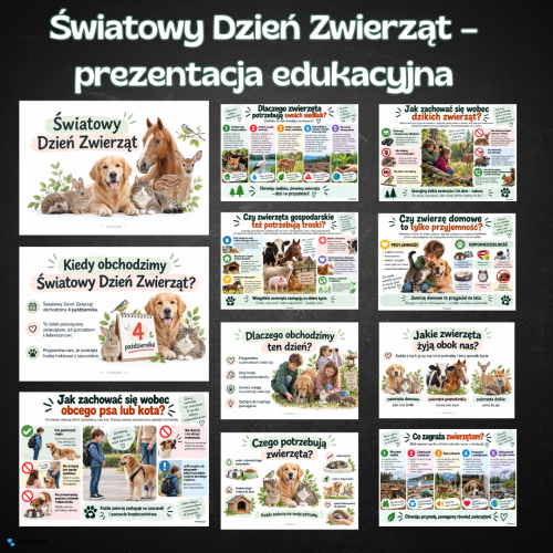 OKLADKI DO PRODUKTOW.png
