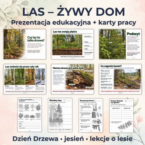 las-zywy-dom-prezentacja-karty-pracy-pdf-klasa-3.png