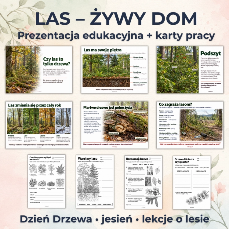 las-zywy-dom-prezentacja-karty-pracy-pdf-klasa-3.png