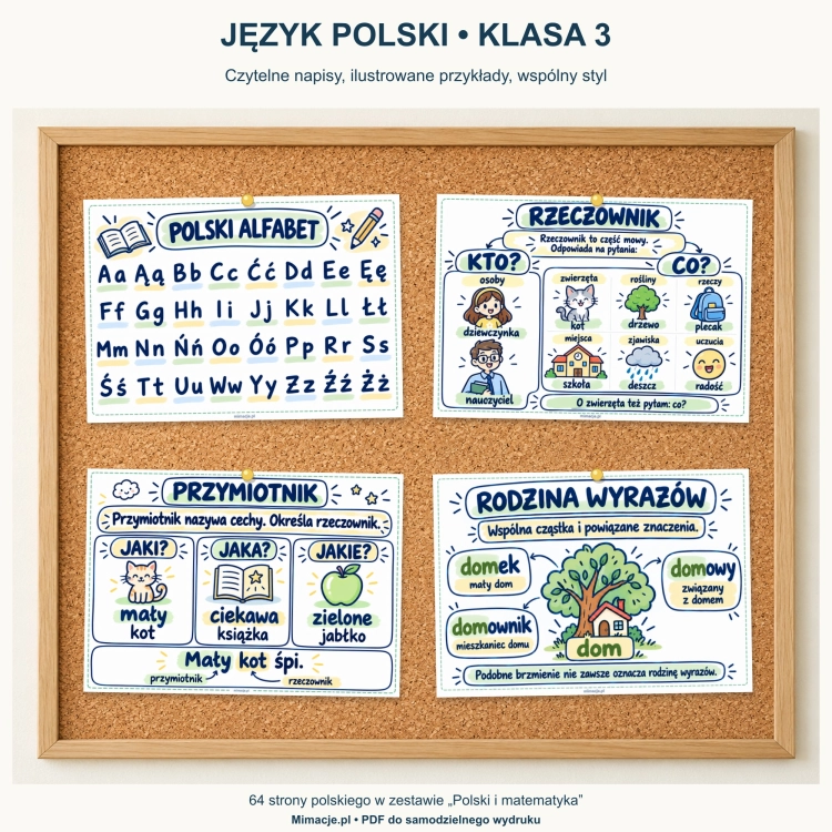 Plansze z języka polskiego: alfabet, rzeczownik, przymiotnik i rodzina wyrazów na tablicy korkowej.