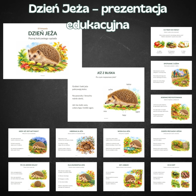 OKLADKI DO PRODUKTOW-3.png