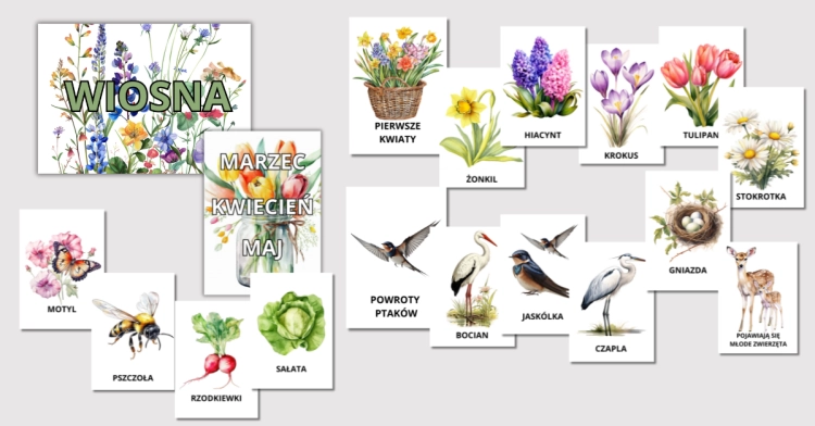 ZDJĘCIA PRODUKÓW (2).png